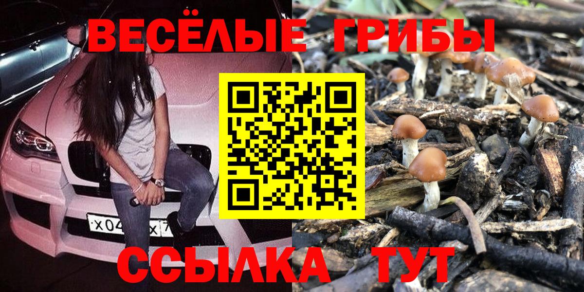 Псилоцибиновые грибы GOLDEN TEACHER Вышний Волочёк