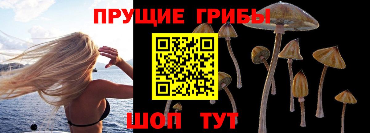 Вышний Волочёк  Псилоцибиновые грибы мухоморы  Псилоцибиновые грибы Magic Shrooms  Вход с VPN 